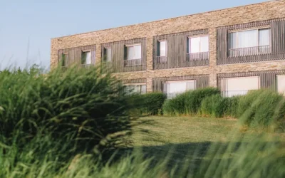 How Does Precision Masonry Improve Outdoor Aesthetics?