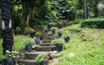 What Should You Consider Before Adding Custom Hardscapes to Your Property?